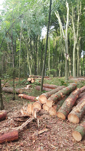 Larch softwood bars Nettlebed Sawmill