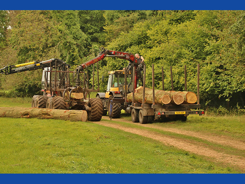Valmet Forwarder & JCB Fastrac & crane trailer extracting timber Nettlebed Sawmill