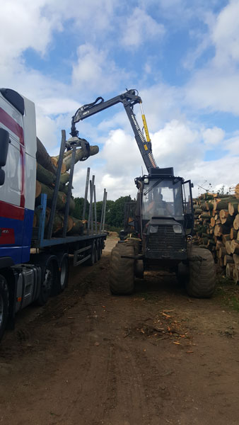 Loading firewood Nettlebed Sawmill