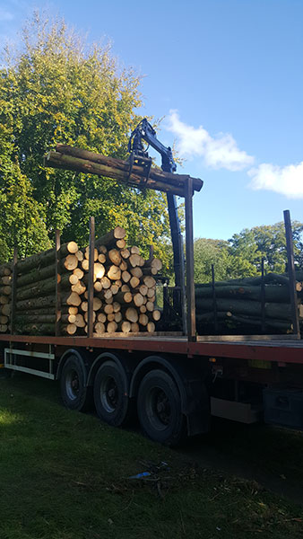 Loading softwood Nettlebed Sawmill