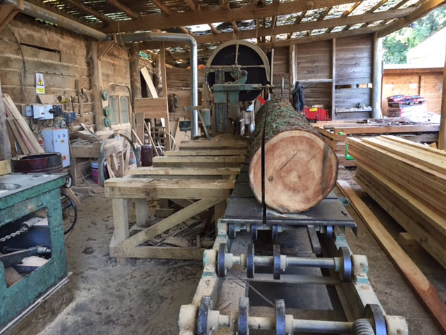 Milling Larch butt on bandsaw Nettlebed Sawmill