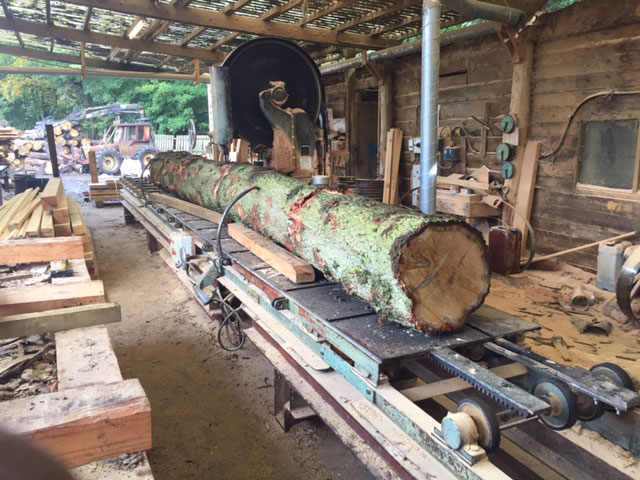 Milling Oak butt on bandsaw Nettlebed Sawmill